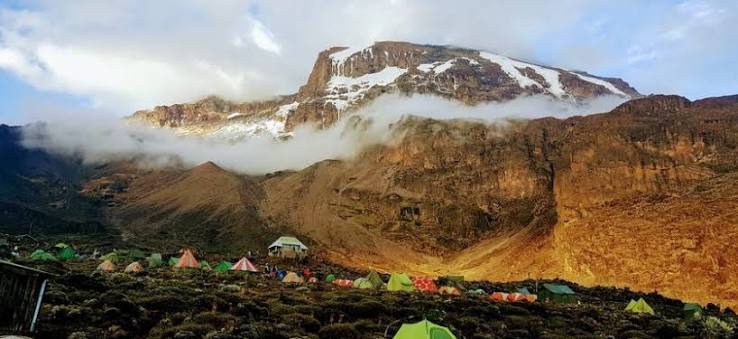 7 Days Lemosho Route Kilimanjaro Climbing Tour