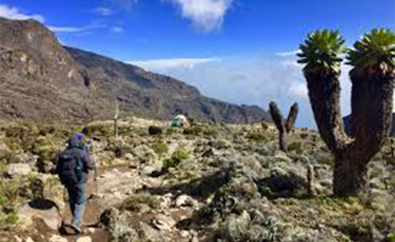 Machame Route