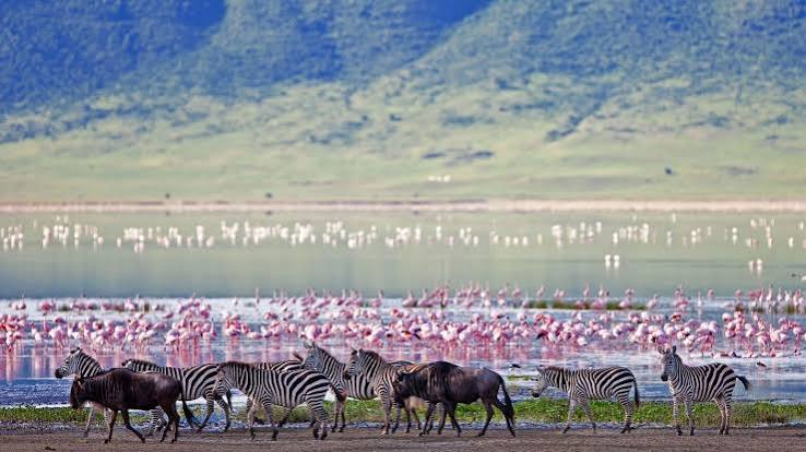 3 Days Ngorongoro Big Five Explorer