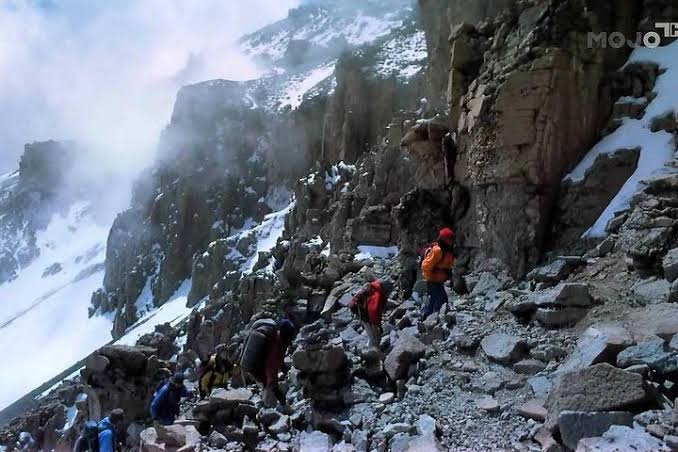 8 Days Northern Circuit Route Kilimanjaro Climbing Tour