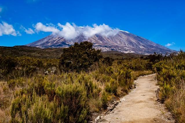 6 Days Rongai Route Kilimanjaro Climbing Tour