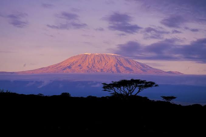 Rongai Route