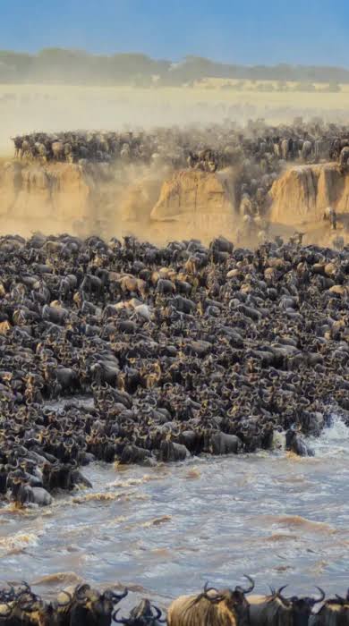 9 days Serengeti Photography Expedition