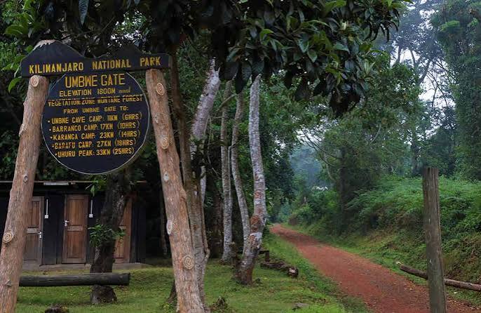 7 Days Umbwe Route Kilimanjaro Climbing Tour